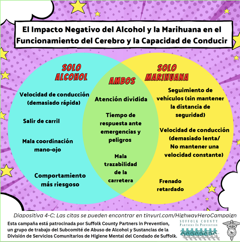 PIP- Drunk Driving - Funcionamiento del Cerebro